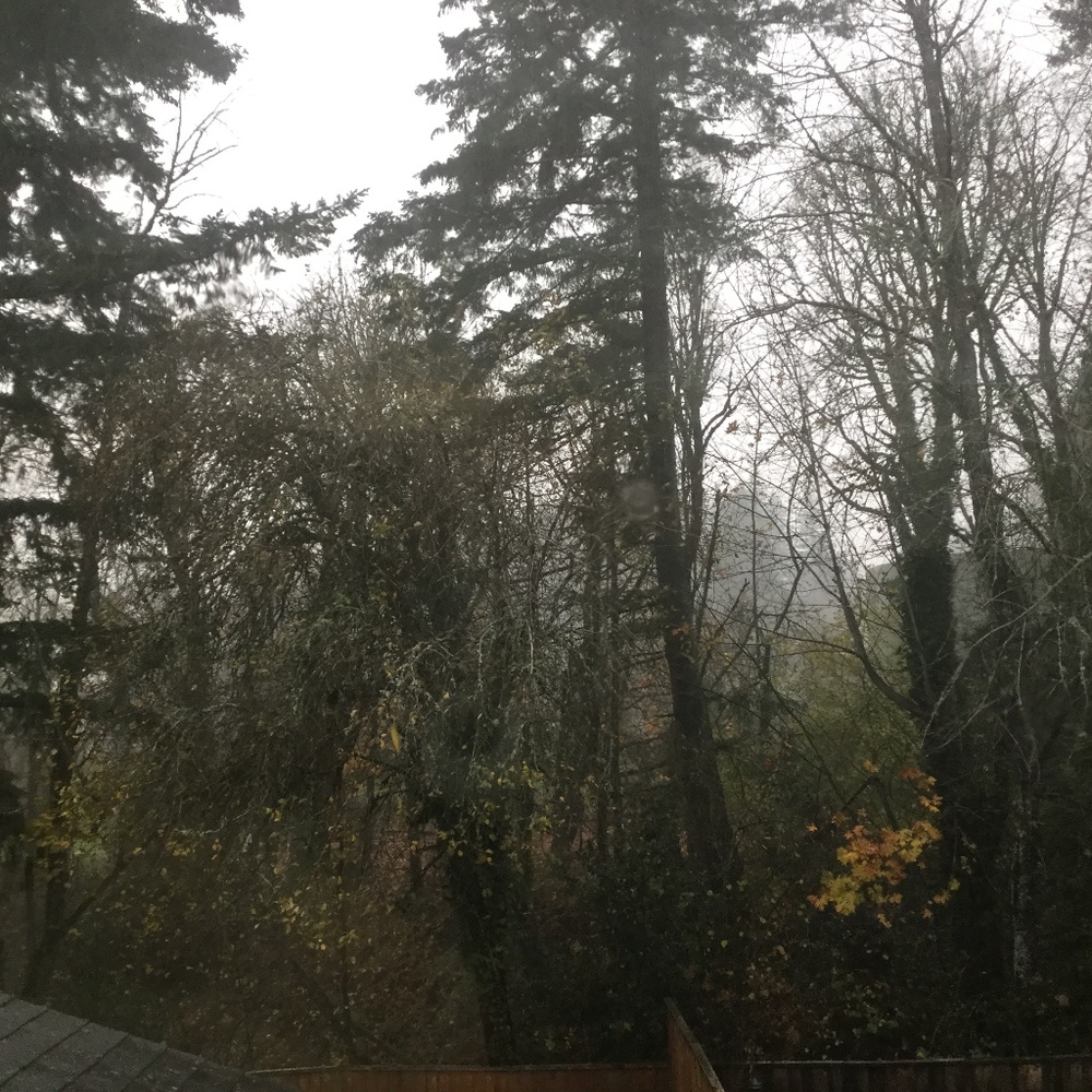 It’s raining so hard!